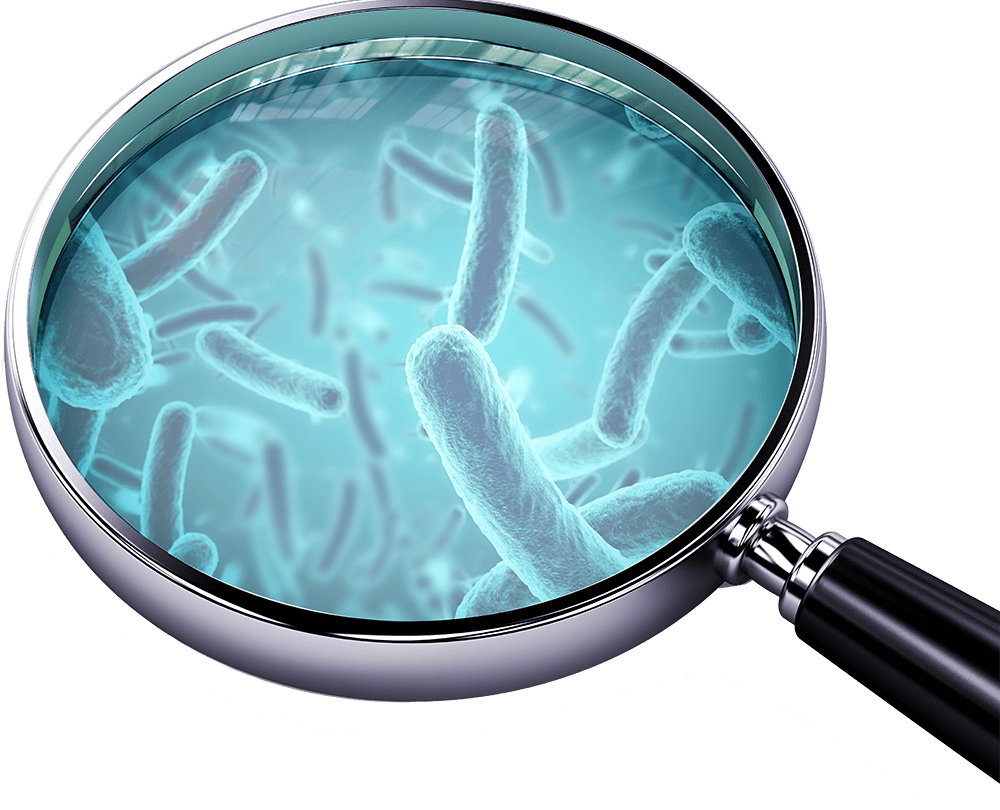Opada li broj dobrih* bakterija sa godinama života?